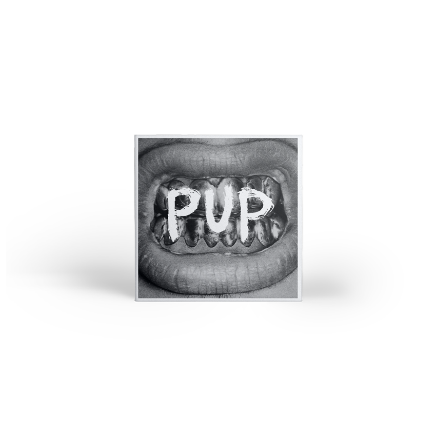 PUP Self-Titled CD